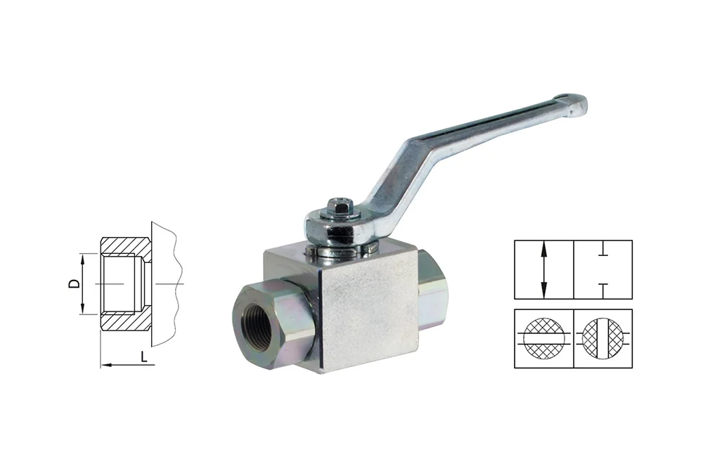 Zweikanaliges Hydraulikventil mit Innengewinde NPT, Typ BKH